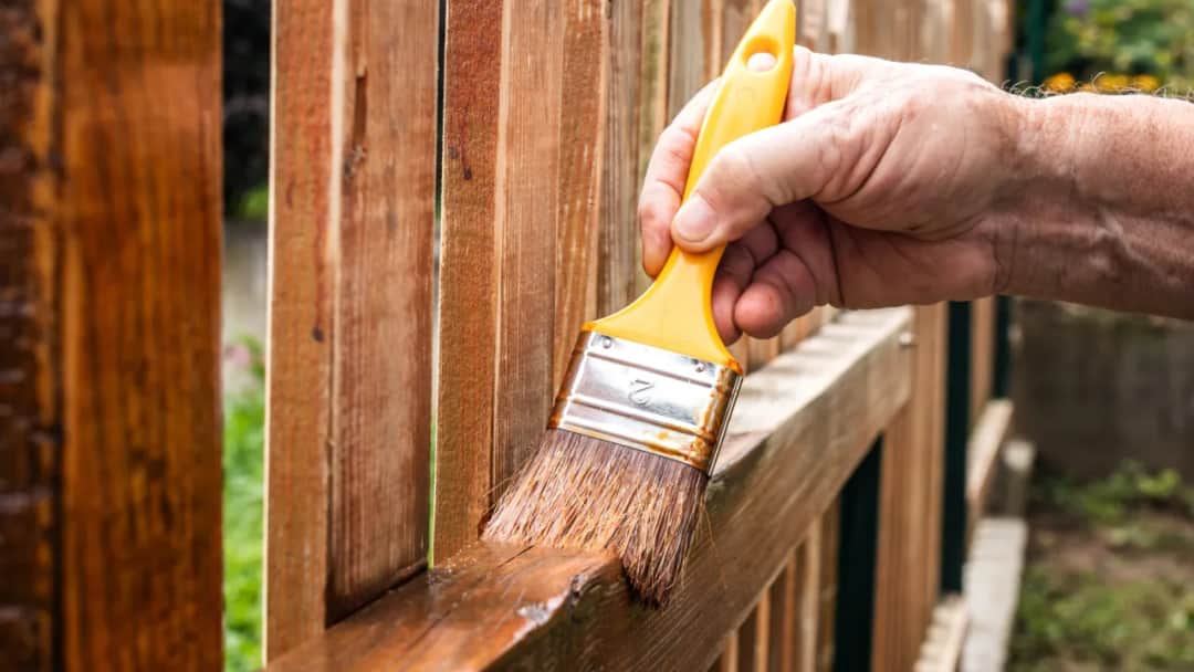 Jak wyczyścić drewniany płot z mchu i uniknąć jego powrotu