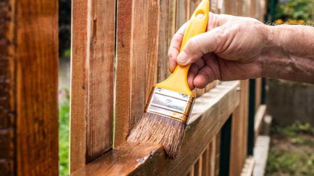 Jak wyczyścić drewniany płot z mchu i uniknąć jego powrotu
