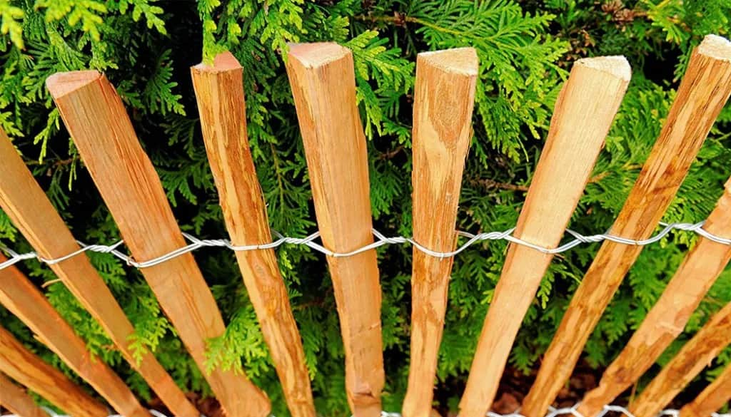 Jak zrobić płot leszczynowy - krok po kroku do idealnego ogrodzenia