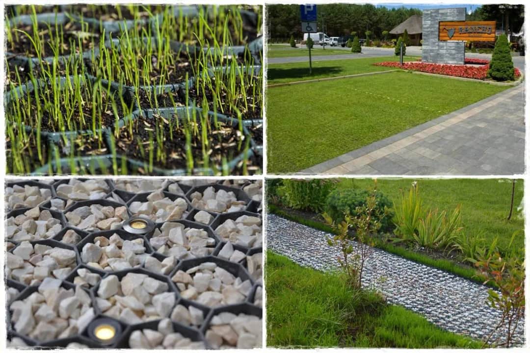 Jaką trawę na podjazd wybrać, by uniknąć problemów z pielęgnacją?