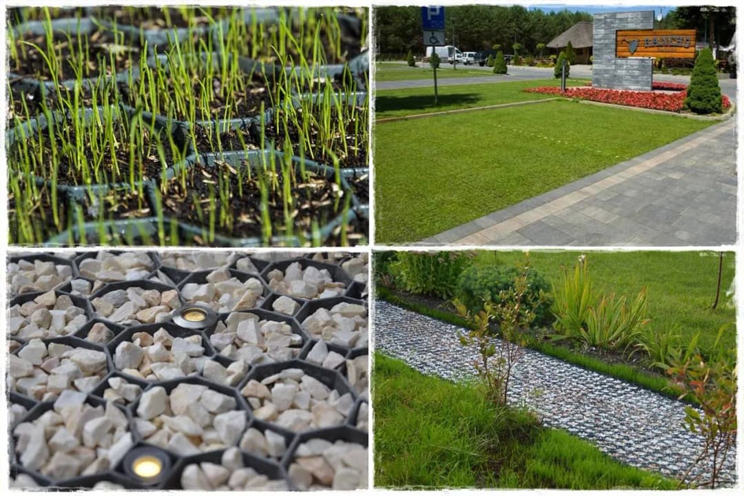 Jaką trawę na podjazd wybrać, by uniknąć problemów z pielęgnacją?