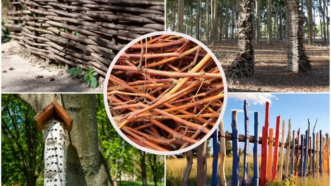 Jak zrobić płot z gałęzi - proste sposoby na piękne ogrodzenie