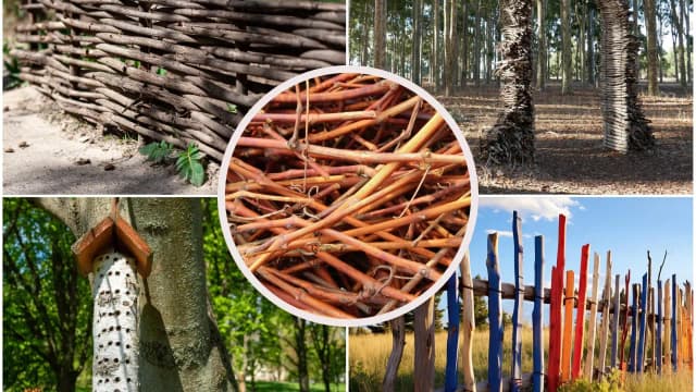 Jak zrobić płot z gałęzi - proste sposoby na piękne ogrodzenie